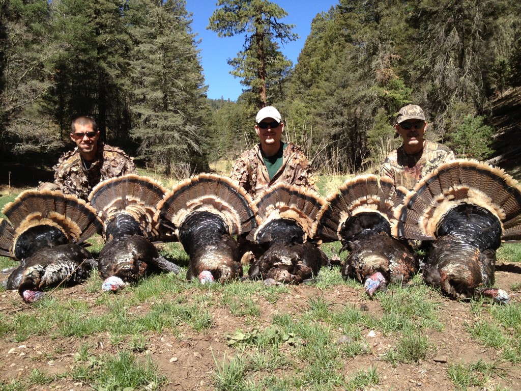 Spring Turkey Hunts SNM Turkey Hunts